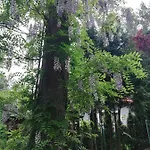 Kaszuby Dom Nad Jeziorem Szczytno Duze Casa de Férias Dobrzyn (Czluchow)