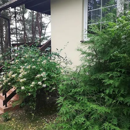 Kaszuby Dom Nad Jeziorem Szczytno Duze * Dobrzyn (Czluchow)