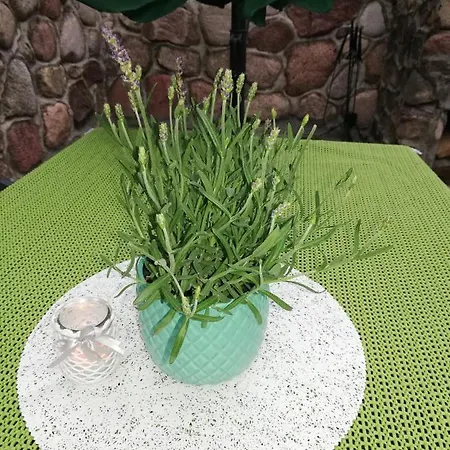 Casa vacanze Kaszuby Dom Nad Jeziorem Szczytno Duze Dobrzyn (Czluchow)