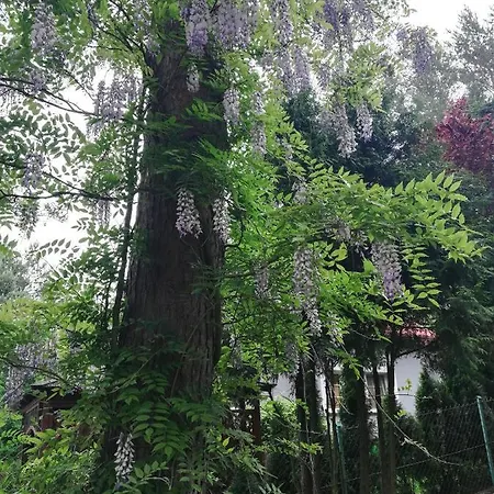 Kaszuby Dom Nad Jeziorem Szczytno Duze Nyaraló Dobrzyn (Pomerania)