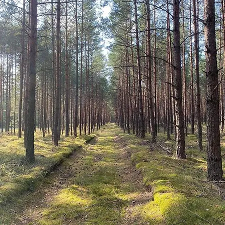 Kaszuby Dom Nad Jeziorem Szczytno Duze Dobrzyn (Pomerania)