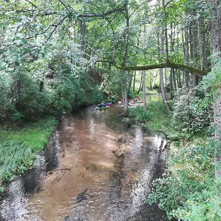 Kaszuby Dom Nad Jeziorem Szczytno Duze 펜션 Dobrzyn (Pomerania)