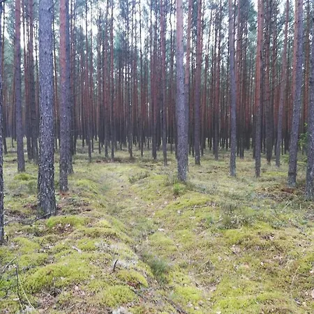 Kaszuby Dom Nad Jeziorem Szczytno Duze * Dobrzyn (Pomerania)