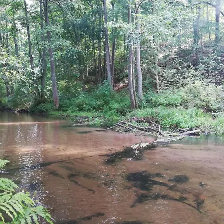 Kaszuby Dom Nad Jeziorem Szczytno Duze Dobrzyn (Czluchow)