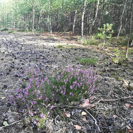 Kaszuby Dom Nad Jeziorem Szczytno Duze Casa vacanze
