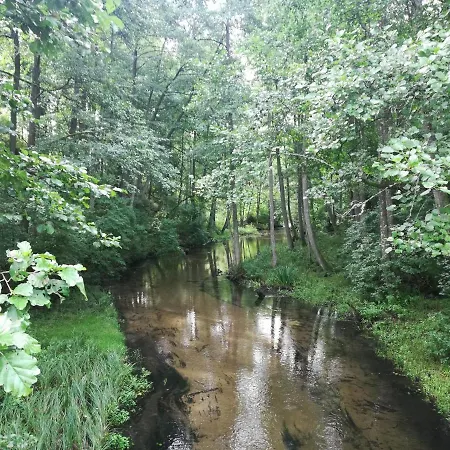 Kaszuby Dom Nad Jeziorem Szczytno Duze Casa vacanze *