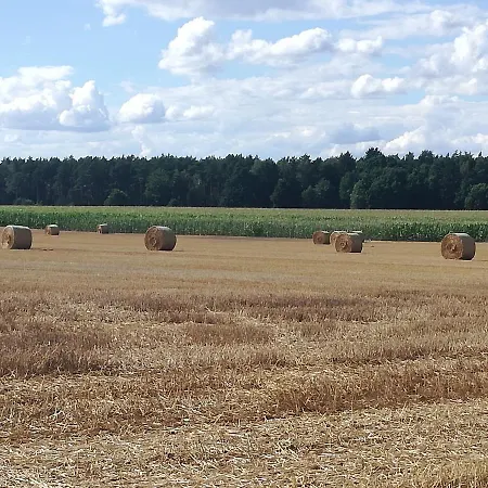 בית נופש Kaszuby Dom Nad Jeziorem Szczytno Duze *