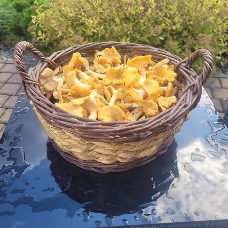 בית נופש Kaszuby Dom Nad Jeziorem Szczytno Duze