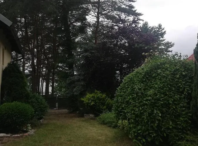 Kaszuby Dom Nad Jeziorem Szczytno Duże Dobrzyn (Czluchow)