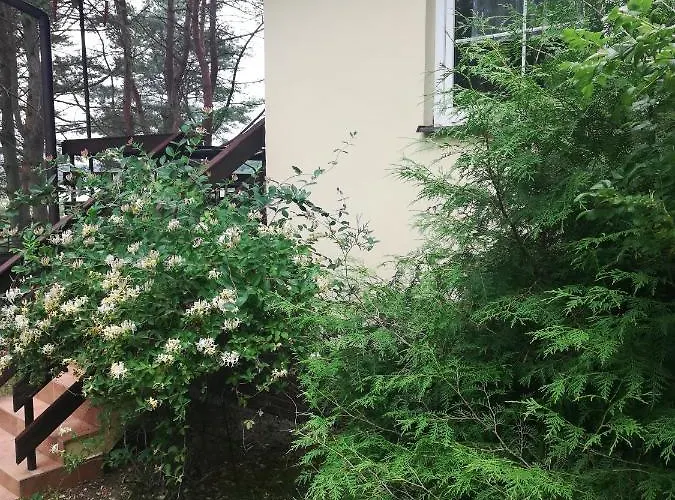 Kaszuby Dom Nad Jeziorem Szczytno Duże * Dobrzyn (Czluchow)