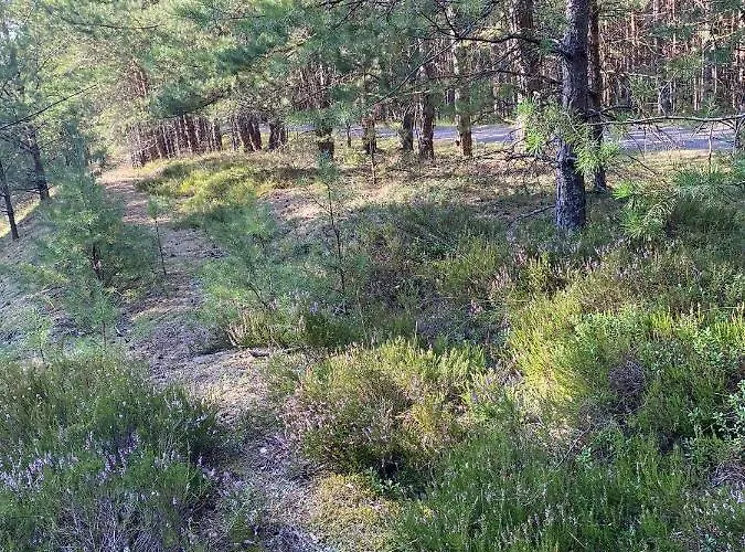 Kaszuby Dom Nad Jeziorem Szczytno Duże Dobrzyn (Czluchow)