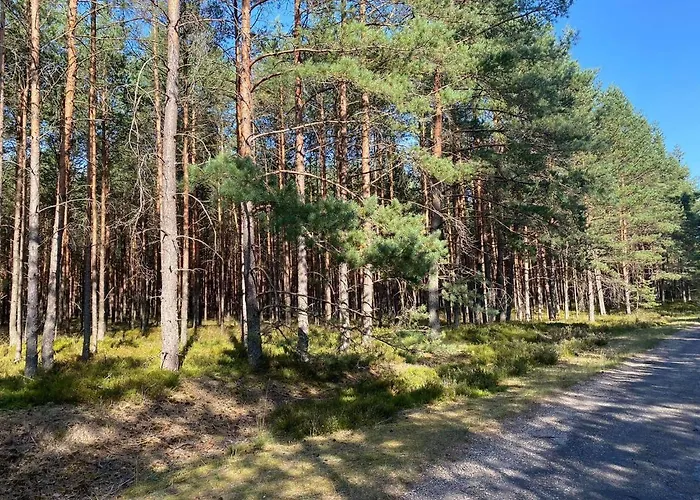 Kaszuby Dom Nad Jeziorem Szczytno Duże * Dobrzyn (Czluchow)