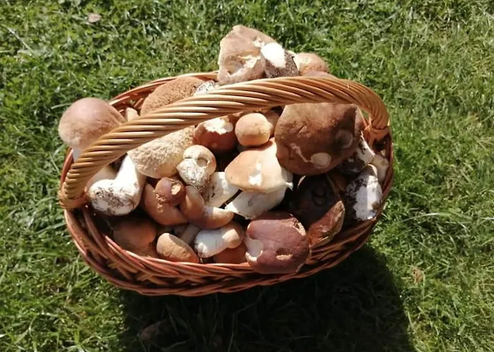 Kaszuby Dom Nad Jeziorem Szczytno Duże Dobrzyn (Czluchow)