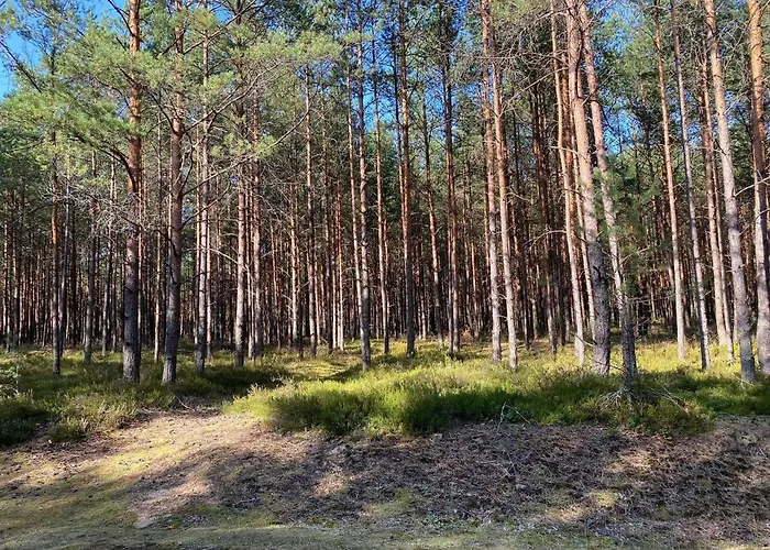 Kaszuby Dom Nad Jeziorem Szczytno Duże Dom wakacyjny *