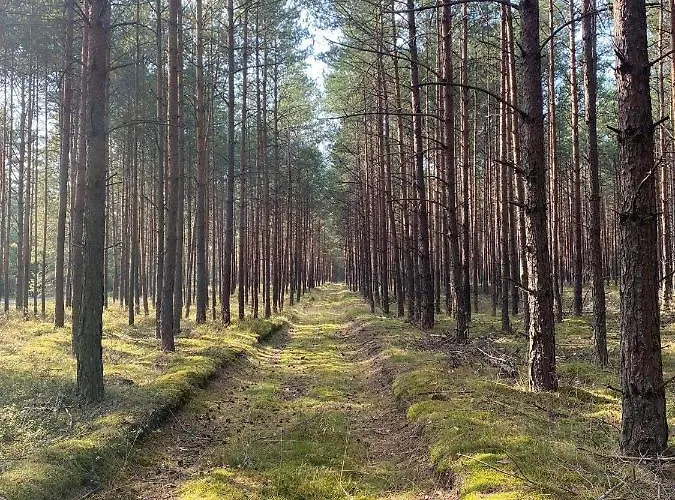 Kaszuby Dom Nad Jeziorem Szczytno Duże Dobrzyn (Czluchow)