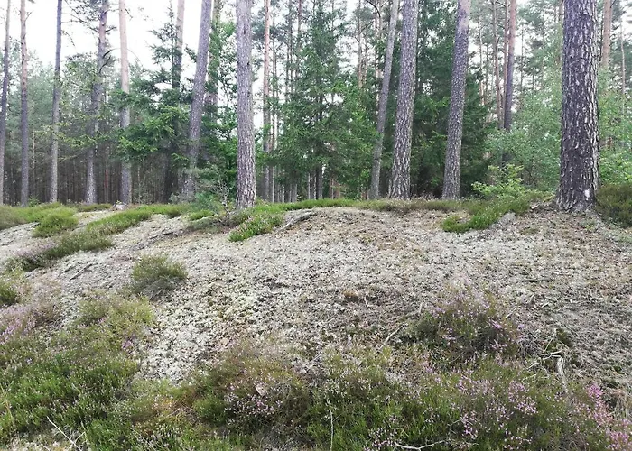 Kaszuby Dom Nad Jeziorem Szczytno Duże Dom wakacyjny
