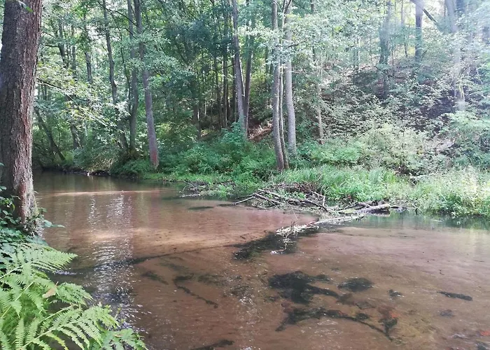 Kaszuby Dom Nad Jeziorem Szczytno Duże Dobrzyn (Czluchow)