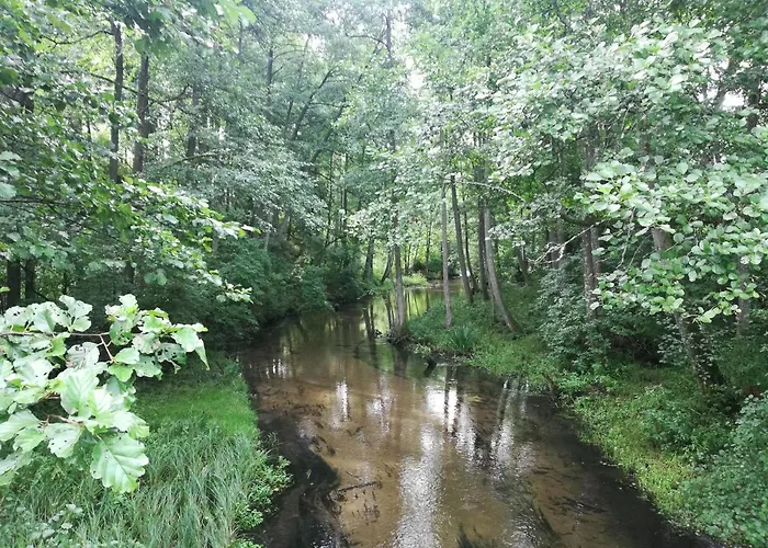 Kaszuby Dom Nad Jeziorem Szczytno Duże Dom wakacyjny *