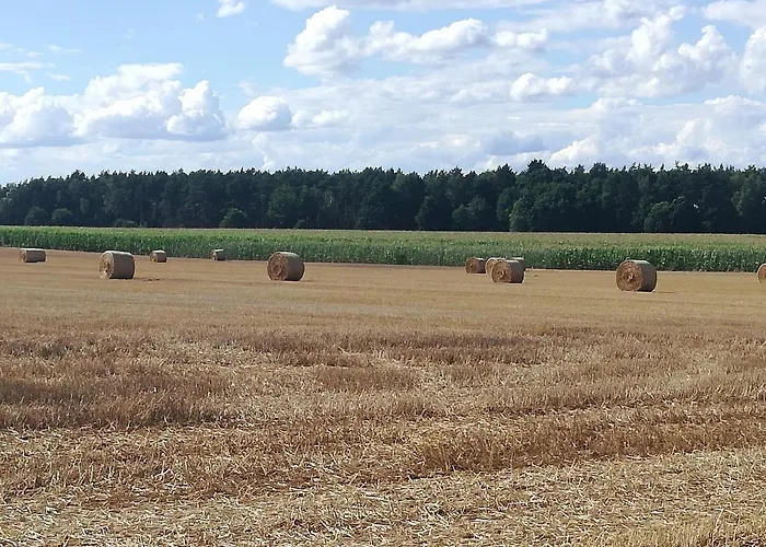 Dom wakacyjny Kaszuby Dom Nad Jeziorem Szczytno Duże *