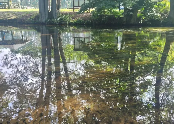 Kaszuby Dom Nad Jeziorem Szczytno Duże Dom wakacyjny Dobrzyn (Czluchow)