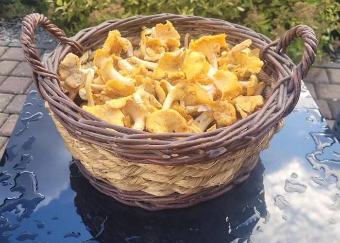 Dom wakacyjny Kaszuby Dom Nad Jeziorem Szczytno Duże