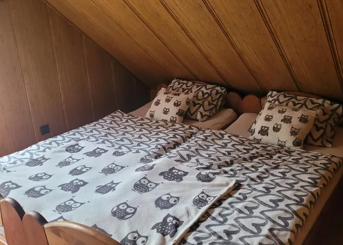 Kaszuby Dom Nad Jeziorem Szczytno Duże Dobrzyn (Czluchow)